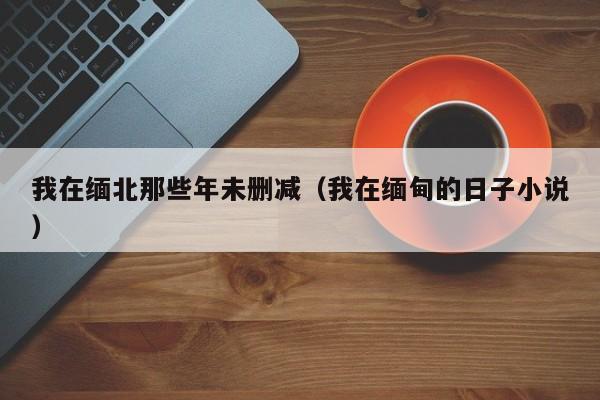 我在缅北那些年未删减(我在缅甸的日子小说)