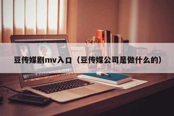 豆传媒剧mv入口(豆传媒公司是做什么的)