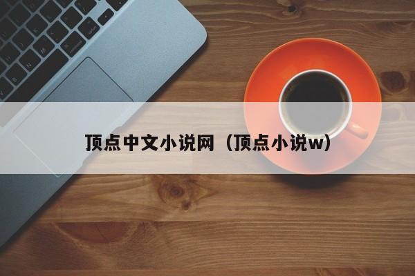 顶点中文小说网(顶点小说w)