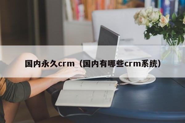 国内永久crm(国内有哪些crm系统)