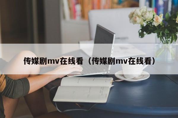 传媒剧mv在线看(传媒剧mv在线看)